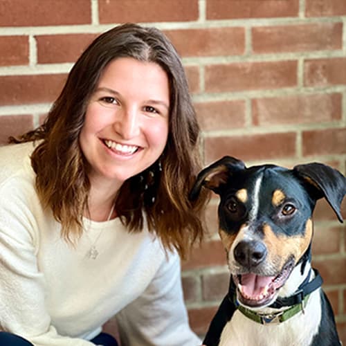 Dr. Michelle D'Alessandro, Westfield Veterinarian